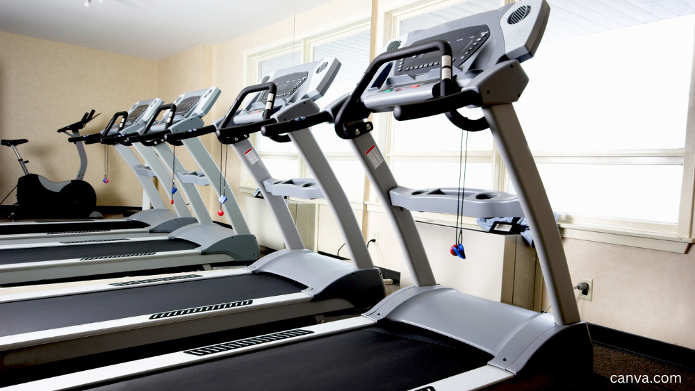row of treadmills in a fitness studio image: canva.com